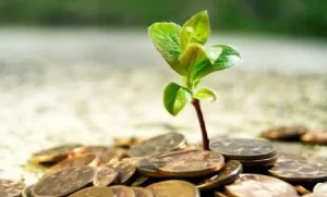 اركان وشروط الوقف ومبطلات الوقف