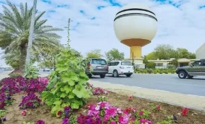 محامي القصيم