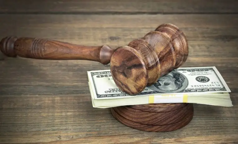 استئناف حكم نفقة صغير